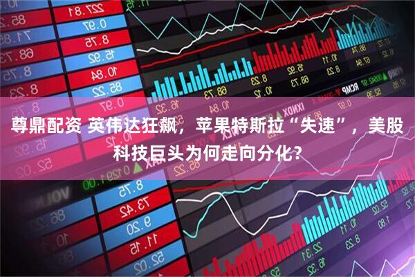 尊鼎配资 英伟达狂飙，苹果特斯拉“失速”，美股科技巨头为何走向分化？