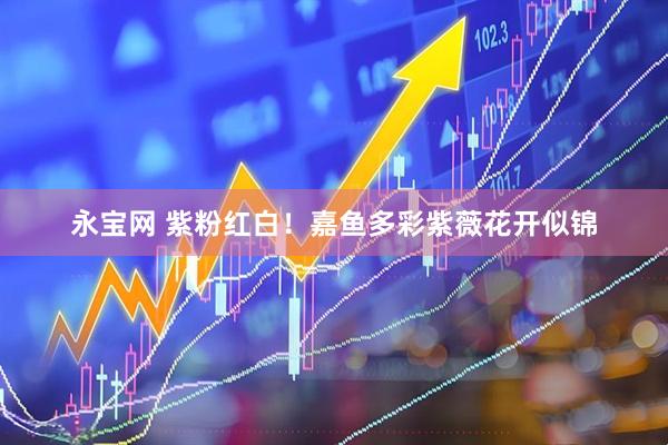 永宝网 紫粉红白！嘉鱼多彩紫薇花开似锦