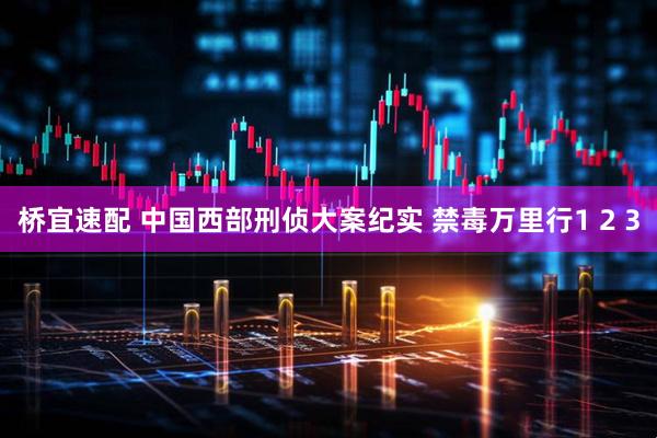 桥宜速配 中国西部刑侦大案纪实 禁毒万里行1 2 3