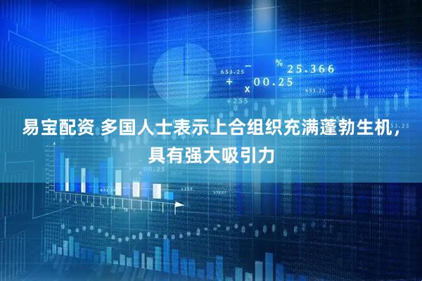 易宝配资 多国人士表示上合组织充满蓬勃生机，具有强大吸引力