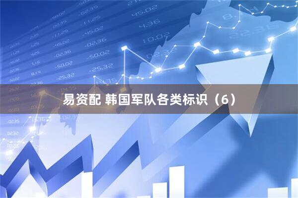 易资配 韩国军队各类标识（6）