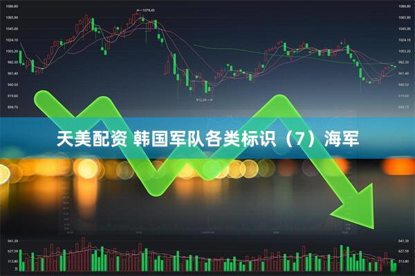 天美配资 韩国军队各类标识（7）海军